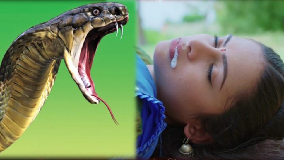 ପ୍ରତିକାତ୍ମକ ଫଟୋ ପ୍ରତିକାତ୍ମକ ଫଟୋ