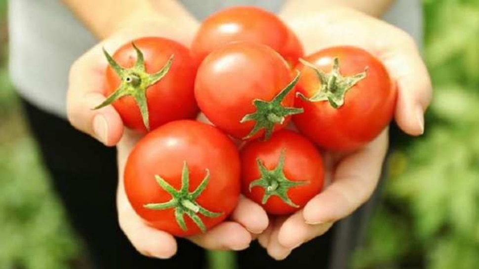 Side effects of Tomato: किडनी स्टोन से लेकर जोड़ों में दर्द तक, ज्यादा टमाटर खाने के हैं कई नुकसान