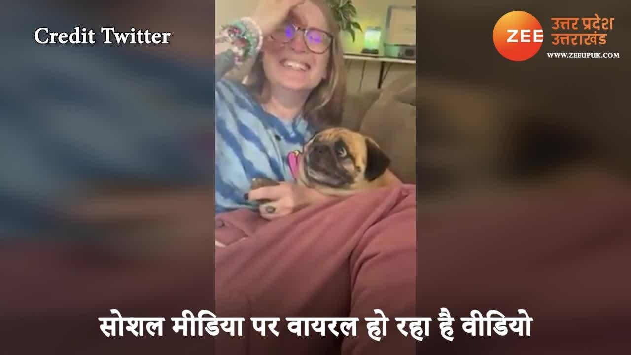 dog screaming as girl cutting his nails video gone viral watch funny