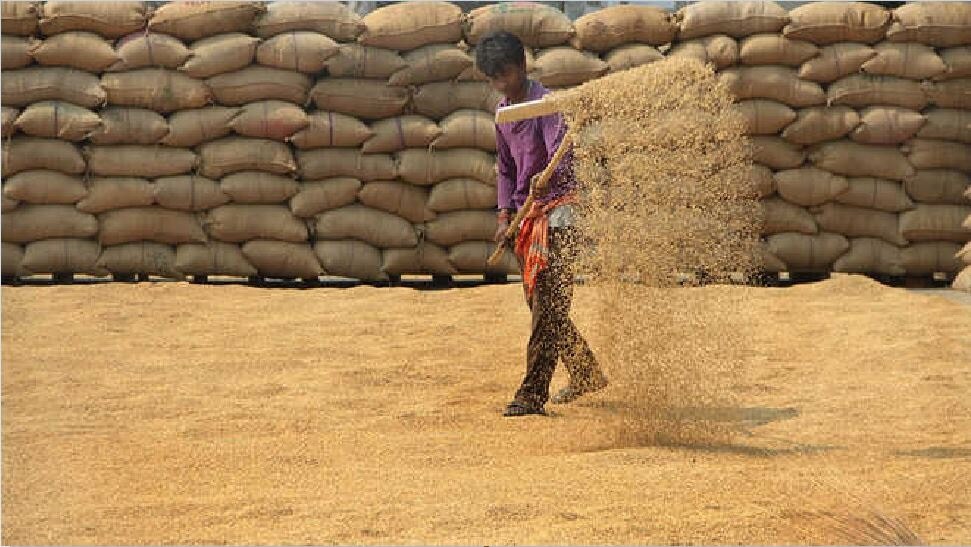 धान खरीद घोटाले में सरकार की बड़ी कार्रवाई: सहकारिता विभाग के 5 अधिकारियों समेत 12 सस्पेंड