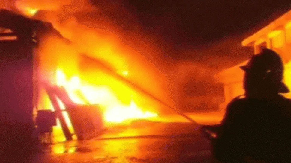 Germany के सूअर प्रजनन केंद्र में लगी आग, जिंदा भुन गए 55 हजार से ज्यादा पशु