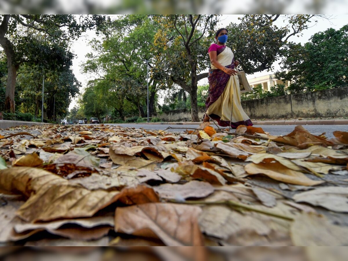 प्रतीकात्मक तस्वीर साभार: (PTI)