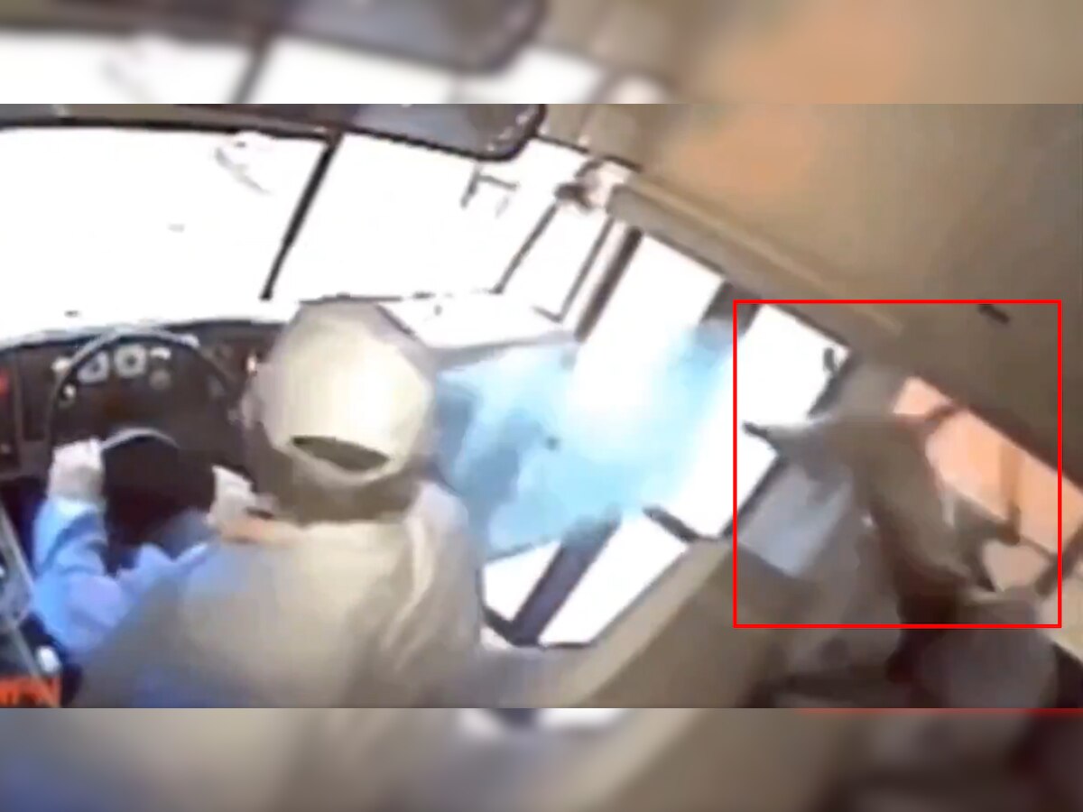 अचानक स्कूल बस का सामने वाला शीशा तोड़कर अंदर दाखिल हुआ हिरण, देखिए VIDEO