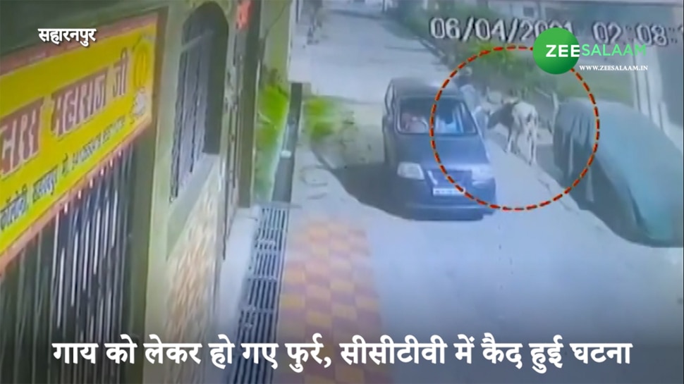 लग्जरी कार में गाय को किया किडनैप, CCTV में कैद हुई वारदात, देखिए खौफनाक VIDEO
