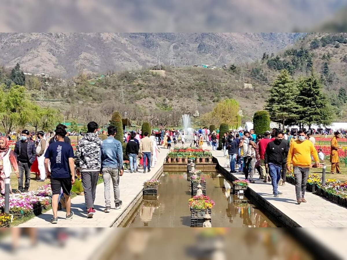 श्रीनगर में बने टयूलिप गार्डन को देखने के लिए पहुंच रहे हैं पर्यटक 