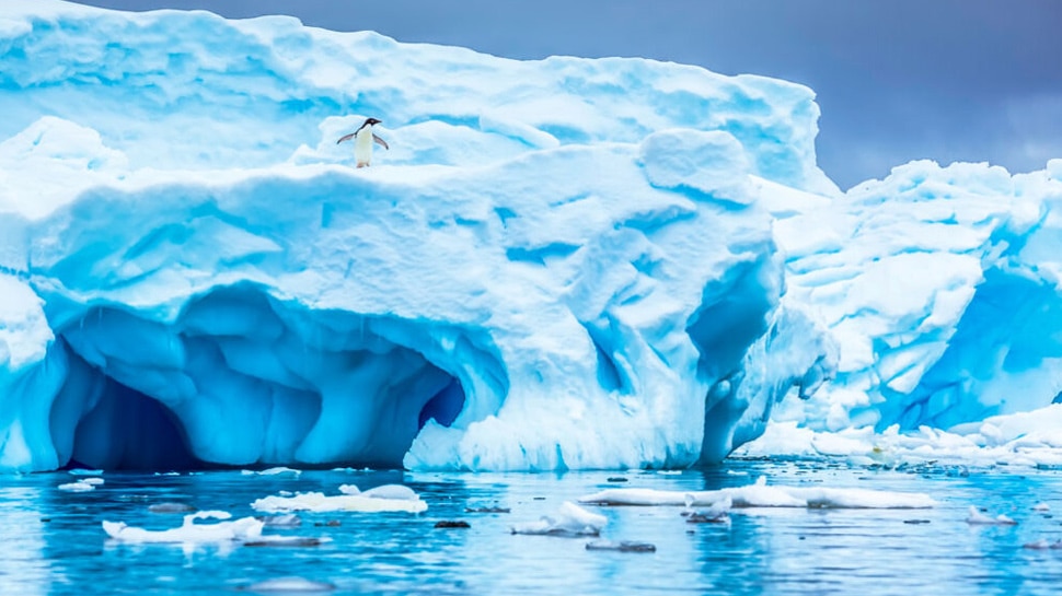 Antarctic की 34% बर्फ ढहने का खतरा, ऐसा हुआ तो समुद्र में आएगा भूचाल