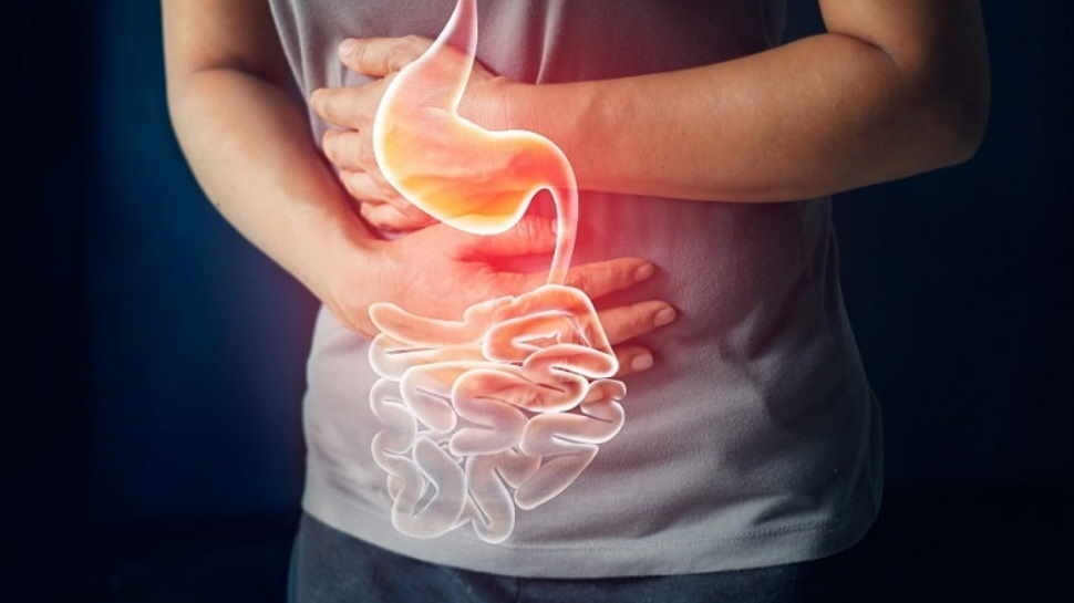 पेट से जुड़ी दिक्कतें coronavirus symptoms stomach disease