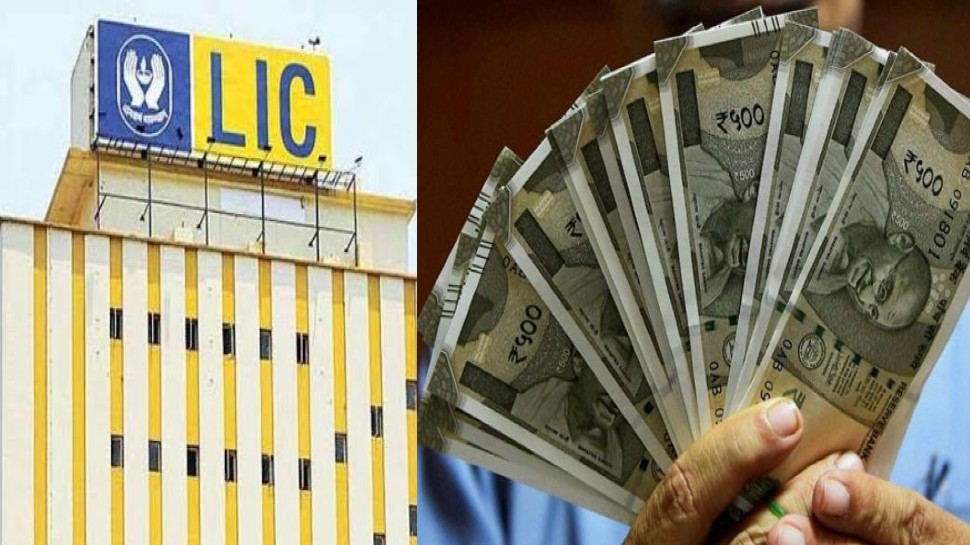 LIC Pension: 41,500 रुपये मिलेगी पेंशन, ब्याज के साथ निवेश का पूरा पैसा भी आएगा वापस, जानिए स्कीम