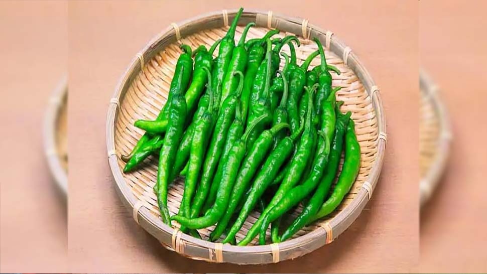 Green Chilli Benefits: हरी मिर्च खाने में भले ही तीखी हो, लेकिन सेहत के लिए इसके फायदे हैं बेशुमार