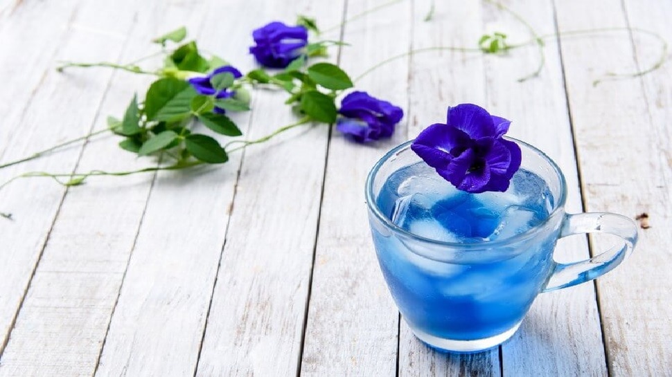 भूल जाएंगे ग्रीन टी के फायदे जब पीएंगे Blue Tea, गजब की फायदेमंद है फूलों से बनी ये चाय