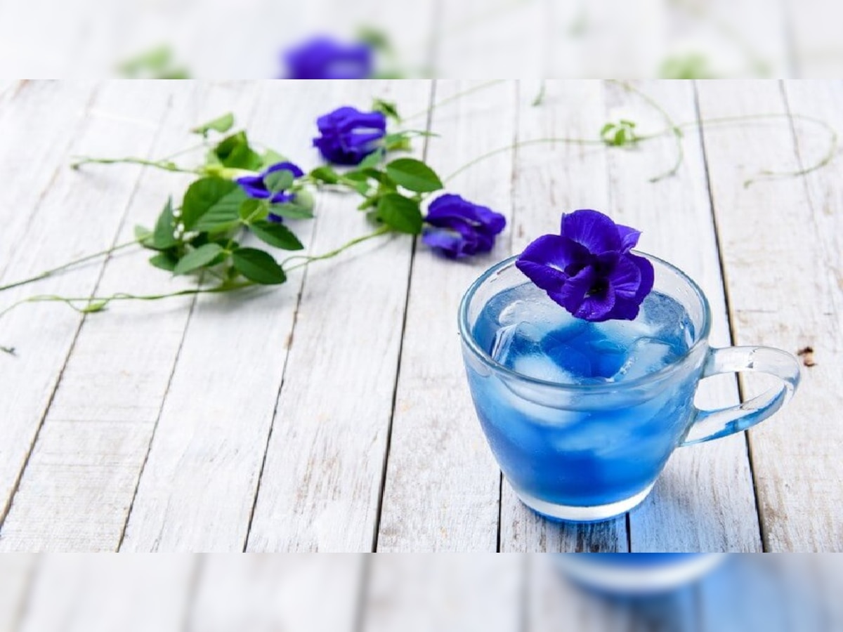 भूल जाएंगे ग्रीन टी के फायदे जब पीएंगे Blue Tea, गजब की फायदेमंद है फूलों से बनी ये चाय