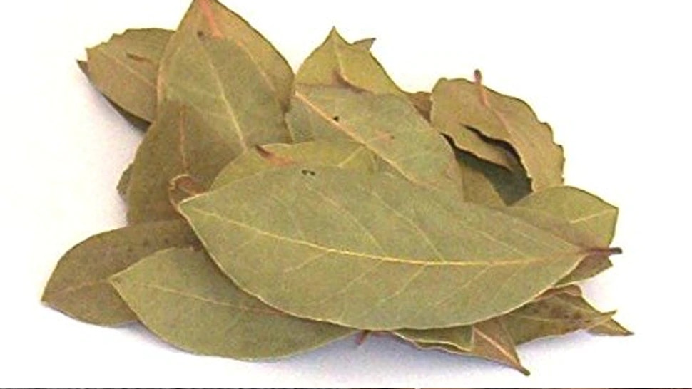 Bay Leaf Benefits: कई बीमारियों से बचाता है तेजपत्ता, इसकी चाय पीने के हैं ढेरों फायदे