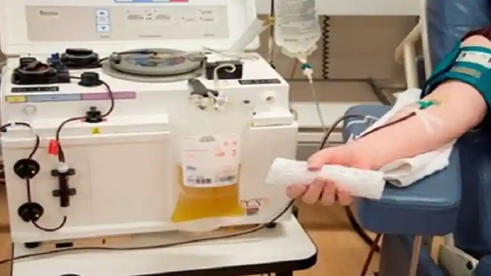 इन साइट पर भी कर सकते हैं विजिट visit these sites for plasma