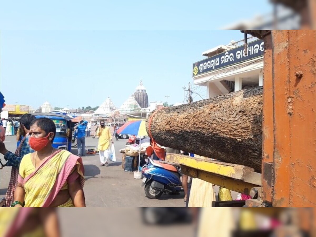 ରଥଯାତ୍ରା ପାଇଁ ଚାଲିଛି ପ୍ରସ୍ତୁତି; ରଥଖଳାକୁ ଆସିଛି ୬୨ ଖଣ୍ଡ କାଠ 