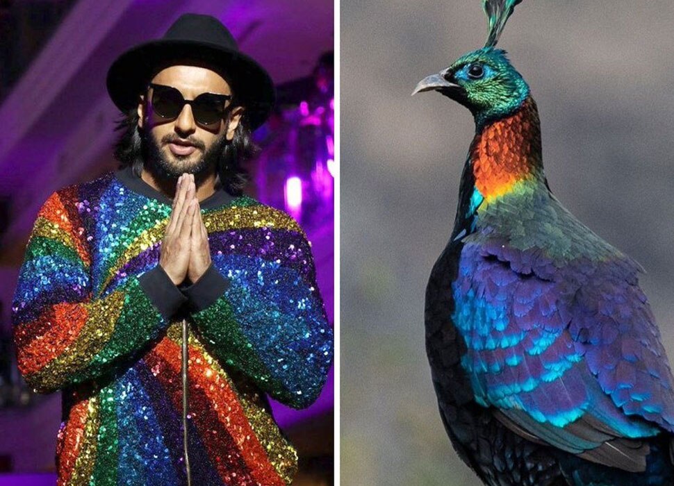 फोटोग्राफर भृगु केपी ने खोला राज Ranveer Singhs fashion