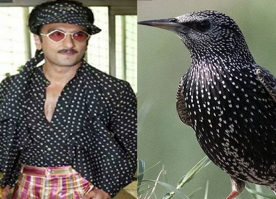 पहले भी शेयर कर चुके हैं फोटोज Ranveer Singhs outlandish Look