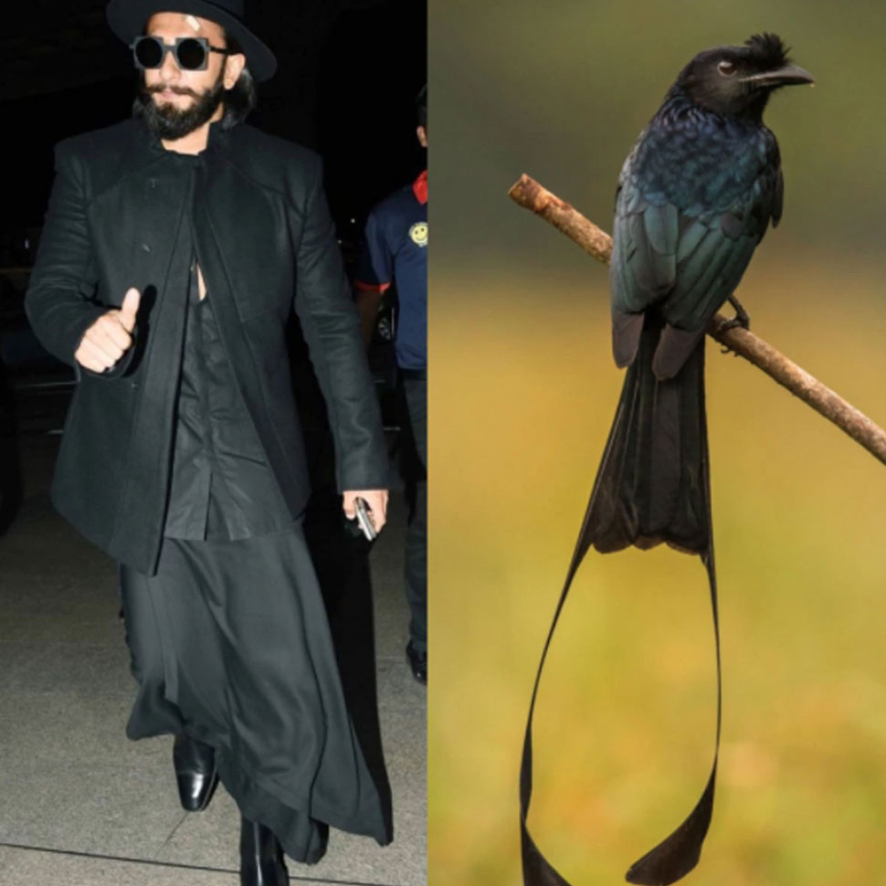 लोगों पसंद आई PHOTOS Ranveer Singhs fashion