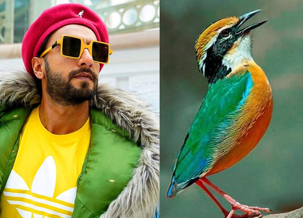 शादी पर बने थे MEME Ranveer Singh in new look