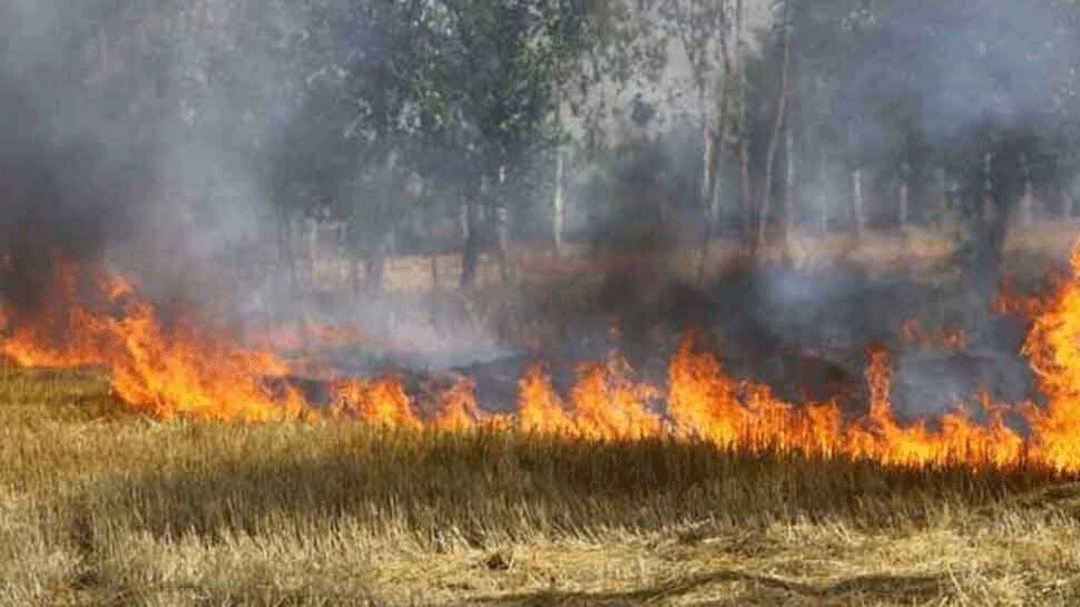 UP Panchayat Chunav 2021: नाम नहीं लिया वापस, तो फूंक दी 18 बीघे की फसल
