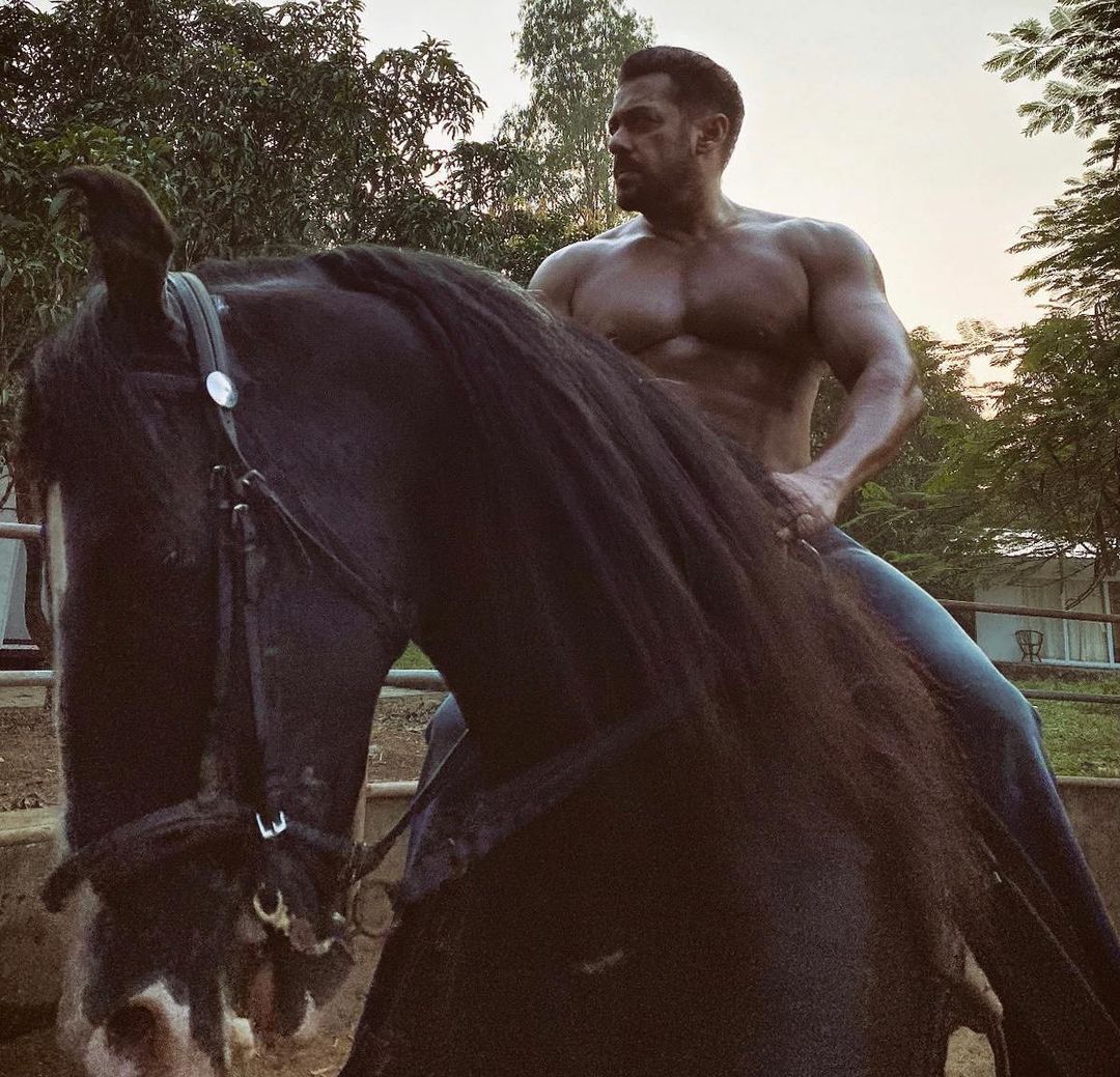 Salman Khan Panvel Farmhouse Horse Riding Ground
