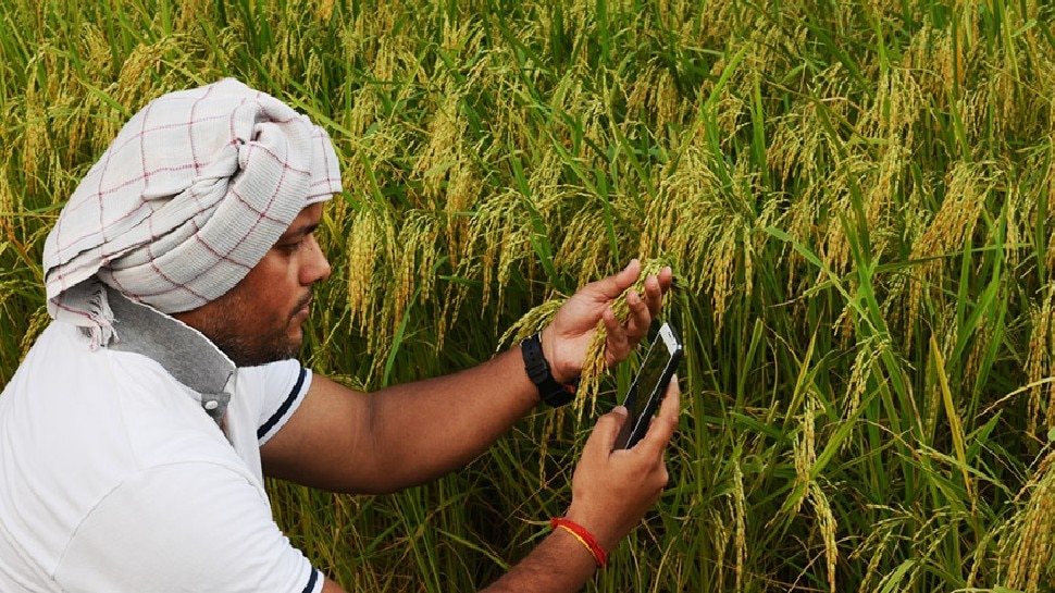 PM Kisan: किसानों के खाते में आने वाले हैं 2000 रुपये! आपको मिलेंगे या नहीं ऐसे चेक करें स्टेटस