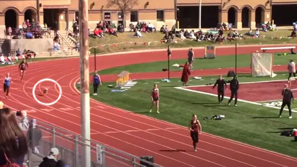 Dog crashes schools relay race in America and wins it too, Watch video ...