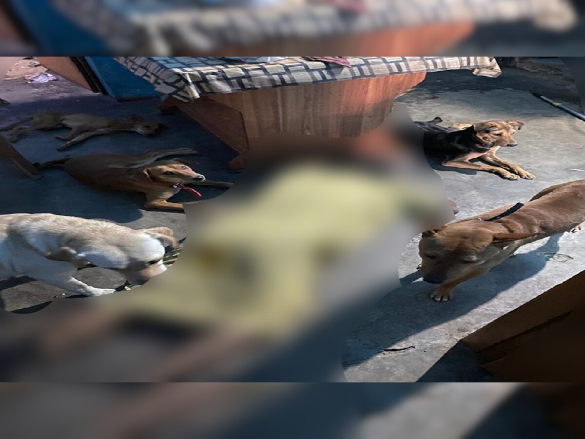 रांची में शवों के पास बैठे कुत्ते की तस्वीर आई सामने (जी न्यूज फोटो)