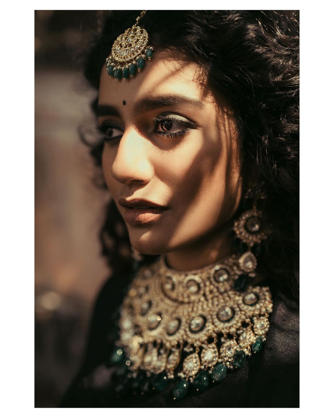 Priya Prakash Varrier Royal Look Photo