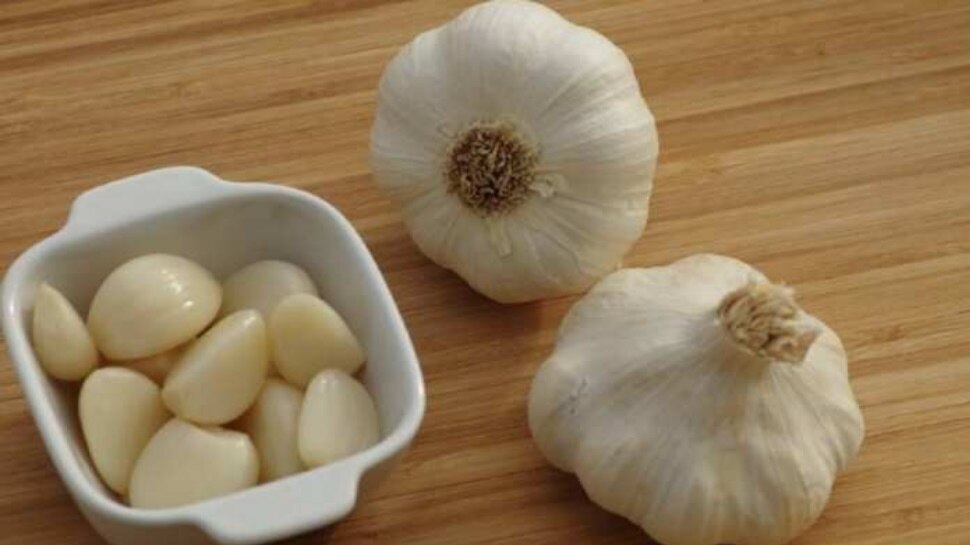 इम्यून बूस्टर की तरह काम करता है लहसुन garlic