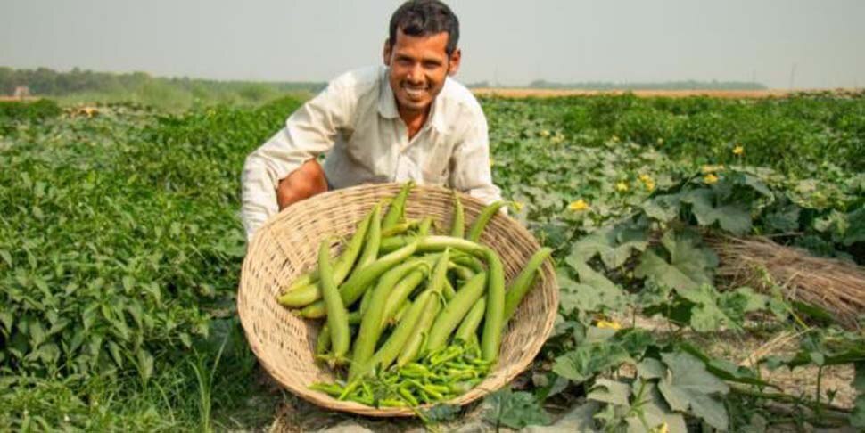 पटना में अब घर बैठे लोगों को मिलने लगी सब्जी, आज ऑर्डर करिए; कल होम डिलिवरी