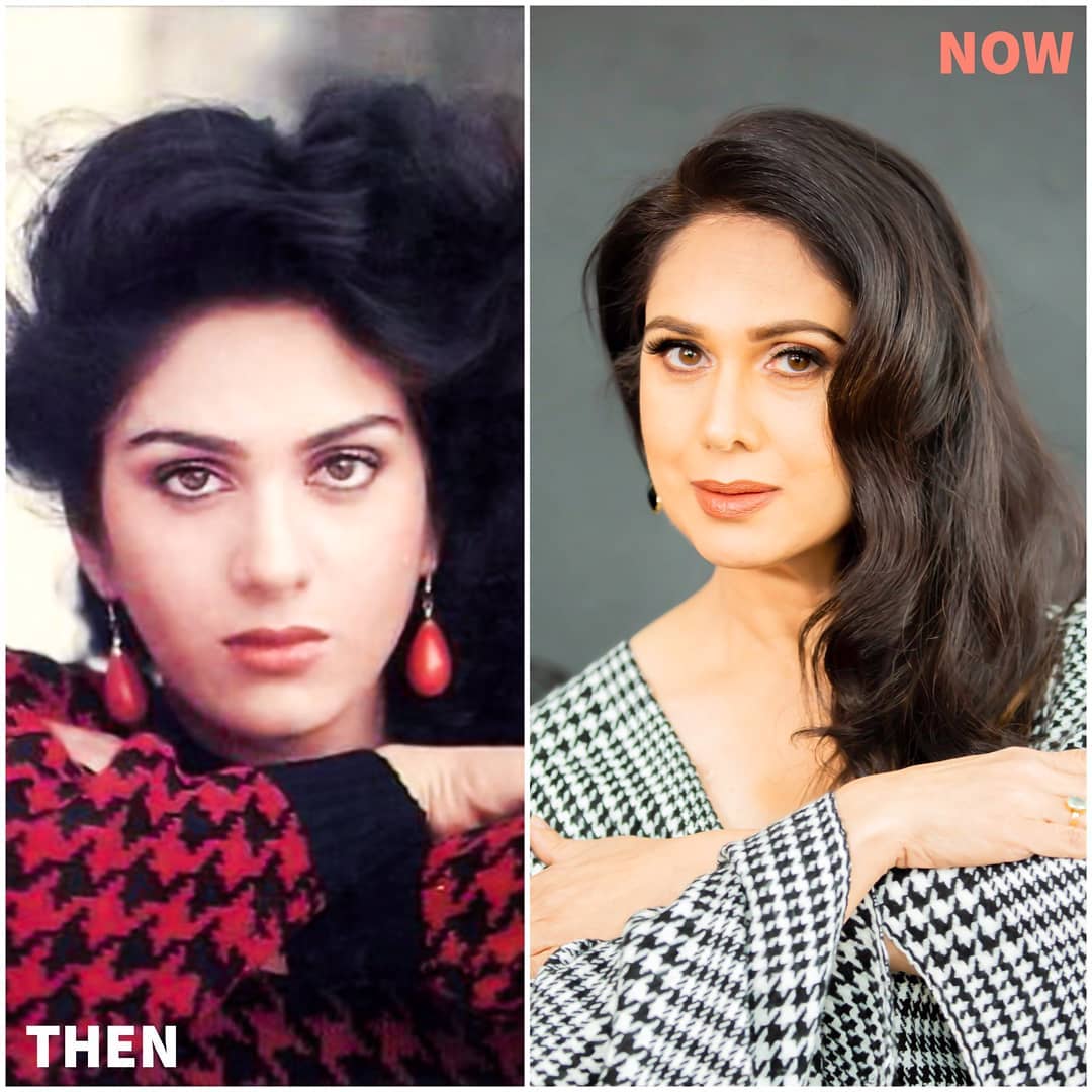 इन फिल्मों में किया काम Meenakshi Seshadri worked in these films
