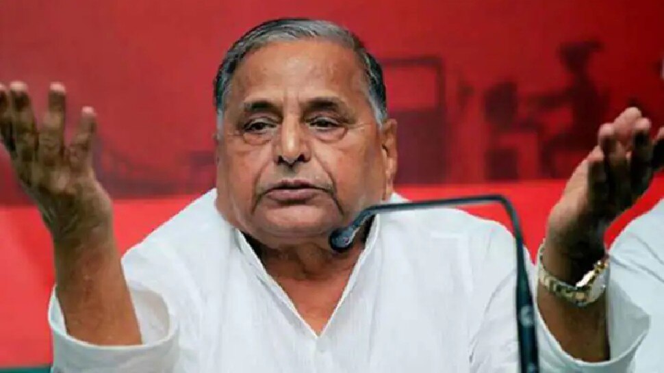 UP पंचायत चुनाव: Mulayam Singh Yadav की भतीजी चुनाव हारीं, कई दिग्गजों के रिश्तेदार भी न बचा सके साख