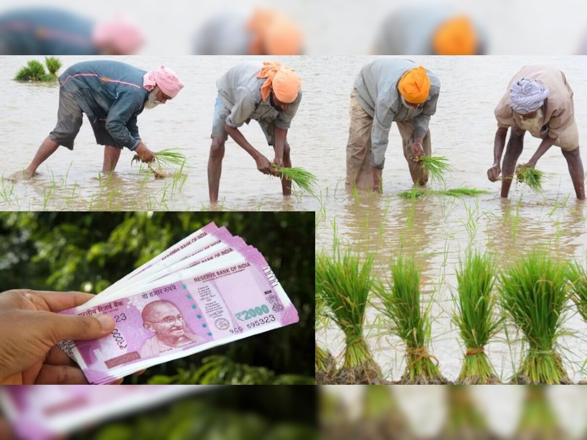 PM Kisan: किसानों को रकम मिलने में हुई देरी, अब 10 मई तक खाते में आएंगे 2000 रुपये, जानिए अपना स्टेटस