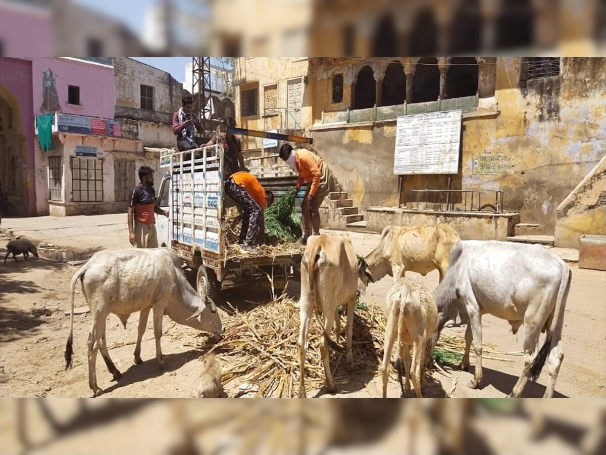 प्रतीकात्मक तस्वीर.