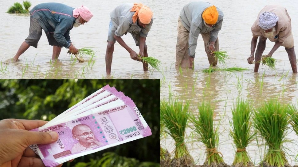 PM Kisan: किसानों के खाते में आज से आएगी 2000 रुपये की रकम! ऐसे चेक करिए अपना स्टेटस
