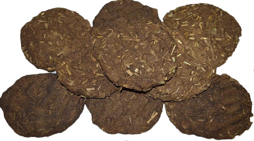 अमेरिका में हवाईअड्डे पर यात्री के बैग से निकले गोबर के उपले, बैग छोड़कर भागा यात्री