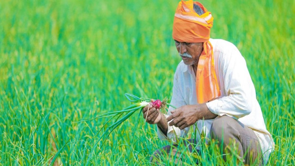 खुशखबरी! इस शुभ दिन आएगी PM Kisan योजना की अगली किश्त