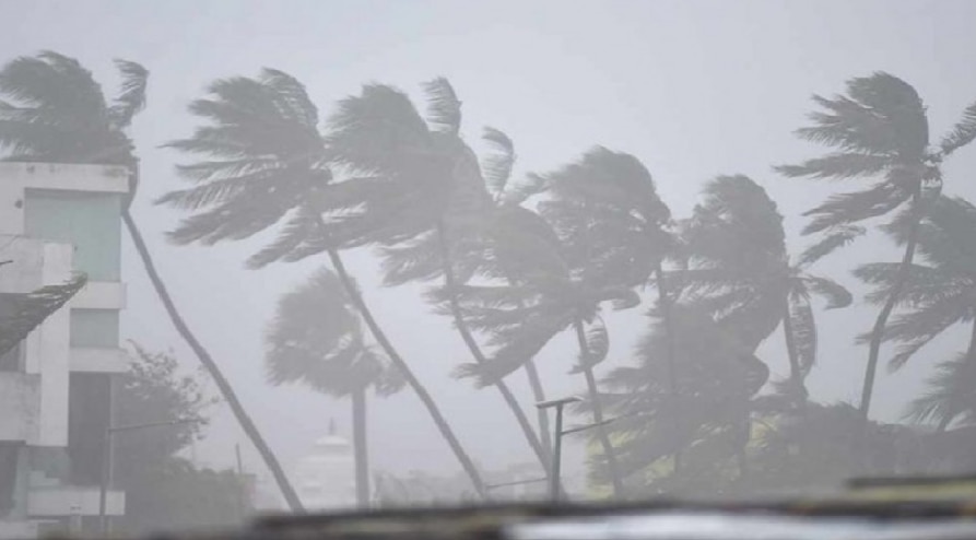 Tauktae Cyclone: क्यों साल के पहले तूफान को कहा गया 'तौकते', जिससे देश में हो सकती है भारी तबाही