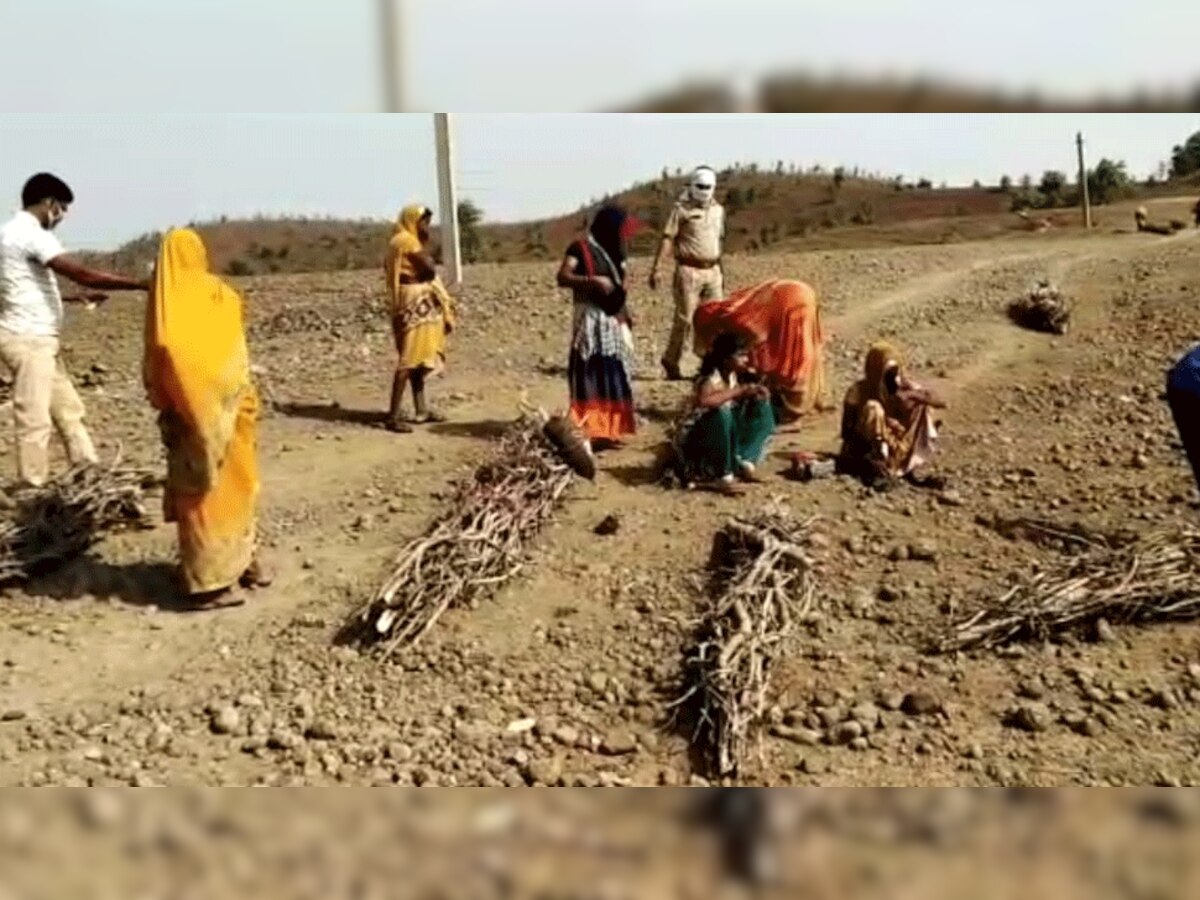 वन क्षेत्र में जलाऊ लकड़ी के नाम पर पेड़ों की कटाई करने के लिए ज्यादातर महिलाएं ही जाती हैं. 