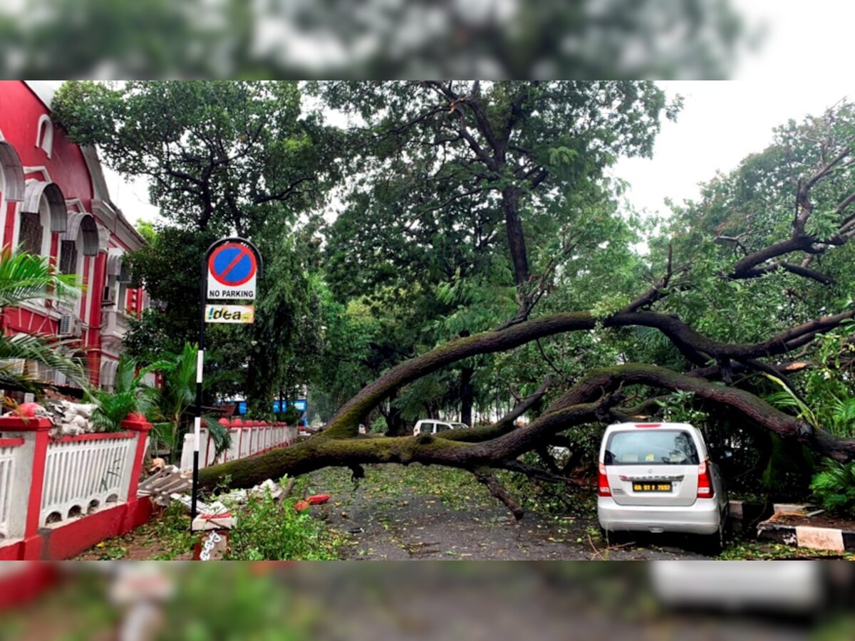 Cyclone Tauktae: मुंबई से निकला 'तौकते', गोवा में मचाई तबाही, गुजरात में हाई अलर्ट