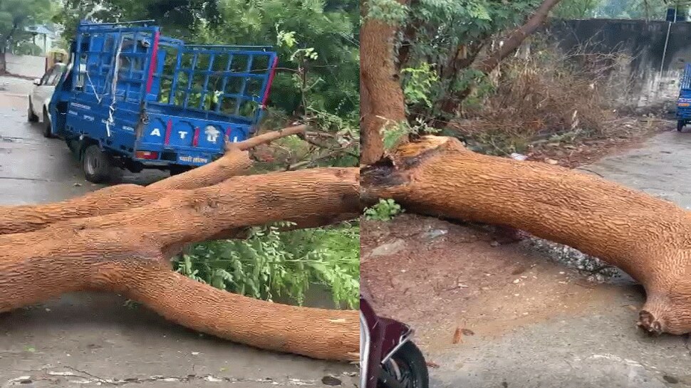 Rajasthan के Mount Abu में Tauktae तूफान ने मचाई तबाही, तस्वीरें ही दे रही हैं गवाही