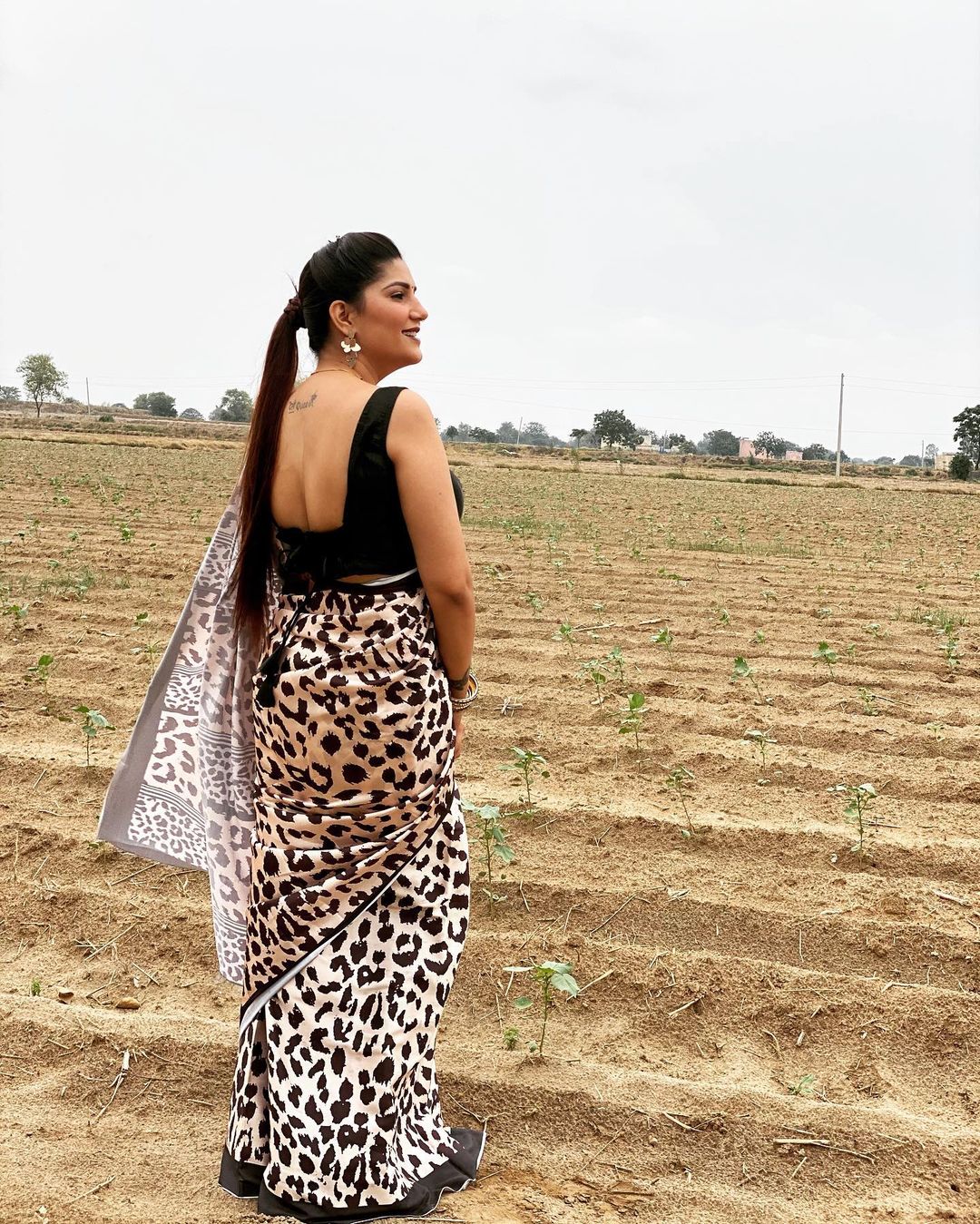 Sapna Choudhary looking so beautiful in animal Print Saree- See Photo ...