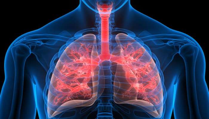 Lungs Exercise: फेफड़ों को एकदम मजबूत और हेल्दी बना देंगी ये लंग्स एक्सरसाइज