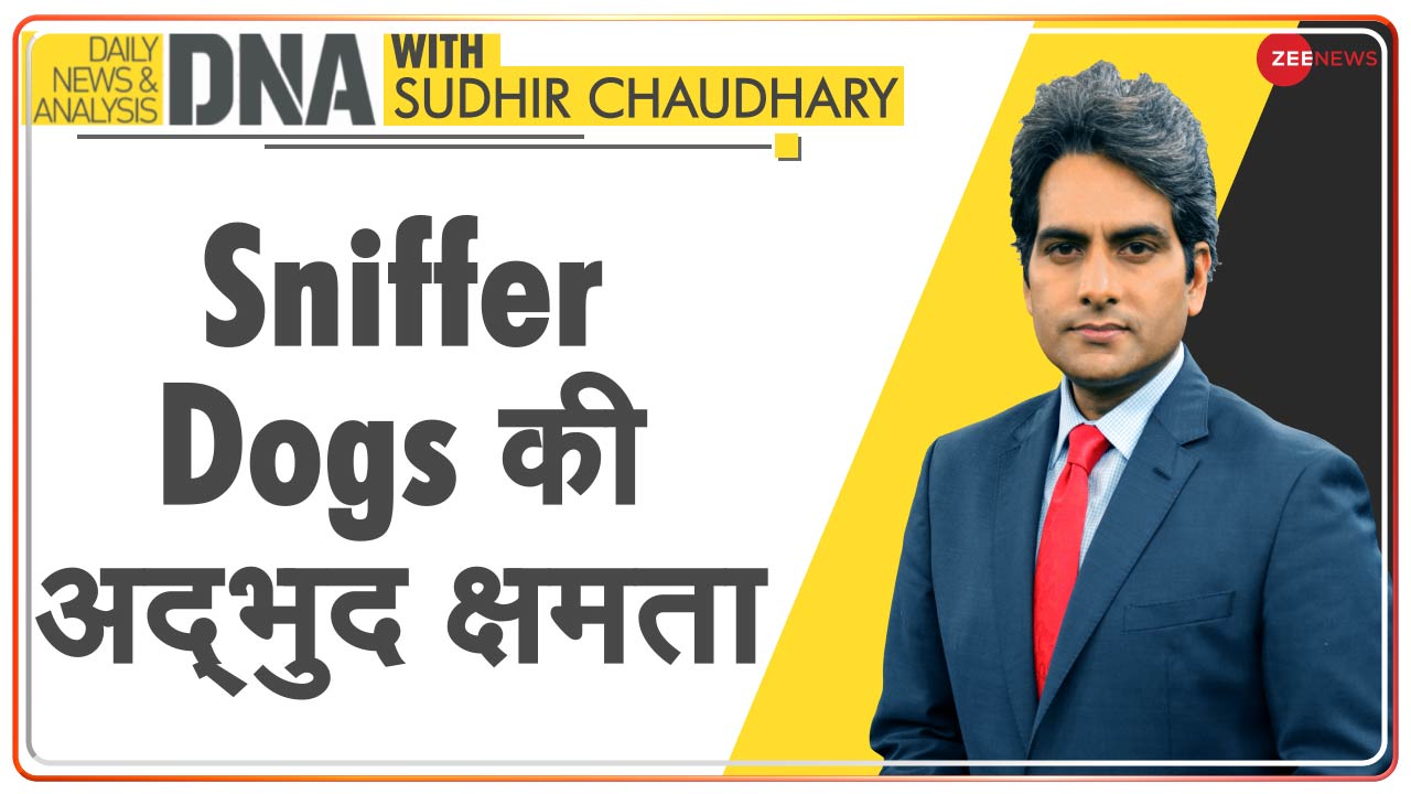 DNA Can sniffer dogs really sense COVID infection? DNA क्या Sniffer Dogs हकीकत में कोरोना
