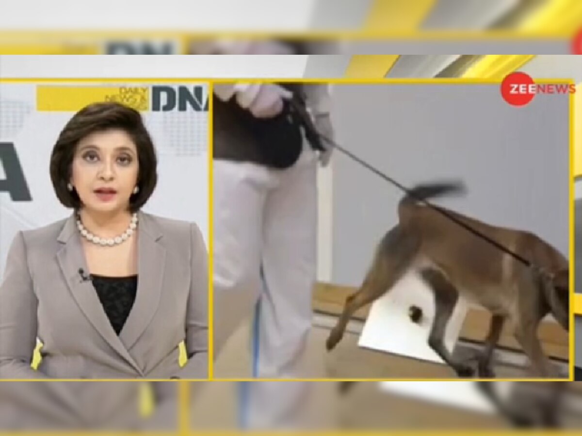 sniffer dogs can really sense covid infection DNA ANALYSIS RTPCR से सटीक कोरोना का 'Dog Test