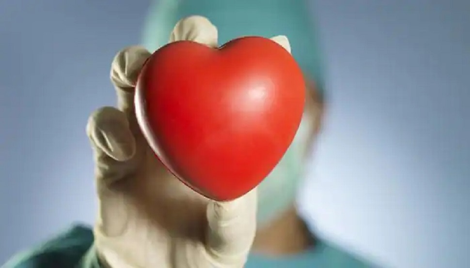 Heart Disease: हर साल दिल की बीमारी से होती हैं सबसे ज्यादा मौतें, ऐसे रखें दिल का ख्याल