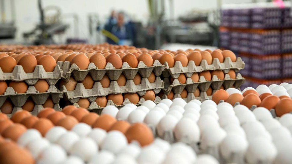 कोरोना काल में अंडे खाना हुआ महंगा, चिकन और मटन पर भी महंगाई की मार