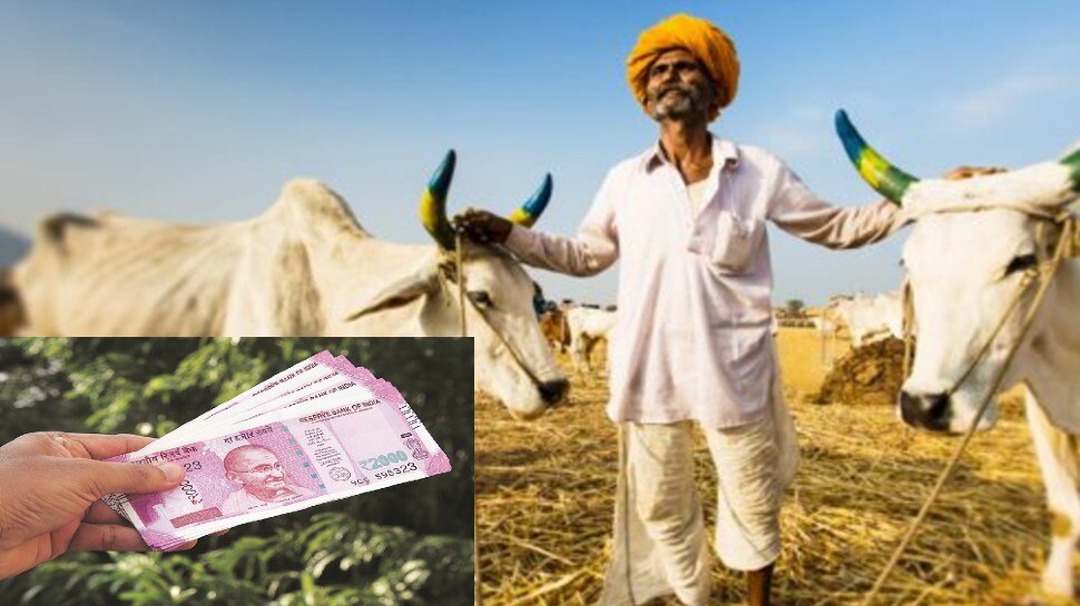 PM Kisan: किसानों के लिए 4000 रुपये पाने का शानदार मौका! 30 जून तक स्कीम में करें अप्लाई!