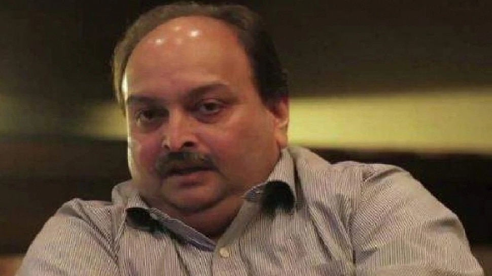 भगोड़े कारोबारी Mehul Choksi को पकड़ने की India की कोशिशें तेज, दस्‍तावेज लेकर डोमिनिका पहुंचा Private Jet