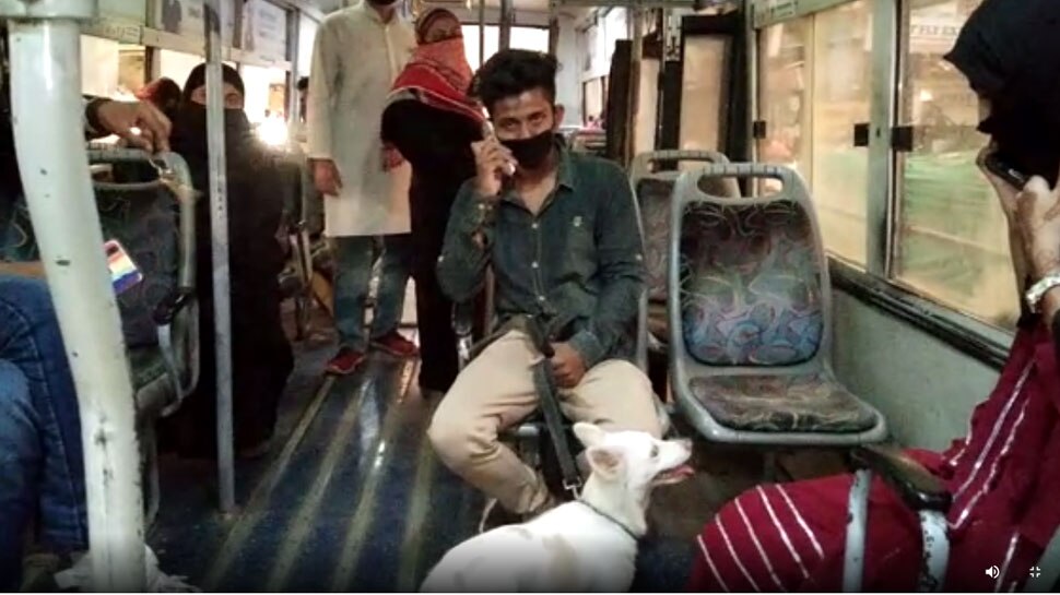 जनता कर्फ्यू में डॉगी को लेकर तफरी करने निकला था मालिक, पुलिस ने दोनों को भेजा जेल जनता कर्फ्यू में डॉगी को लेकर तफरी करने निकला था मालिक, पुलिस ने दोनों को भेजा जेल